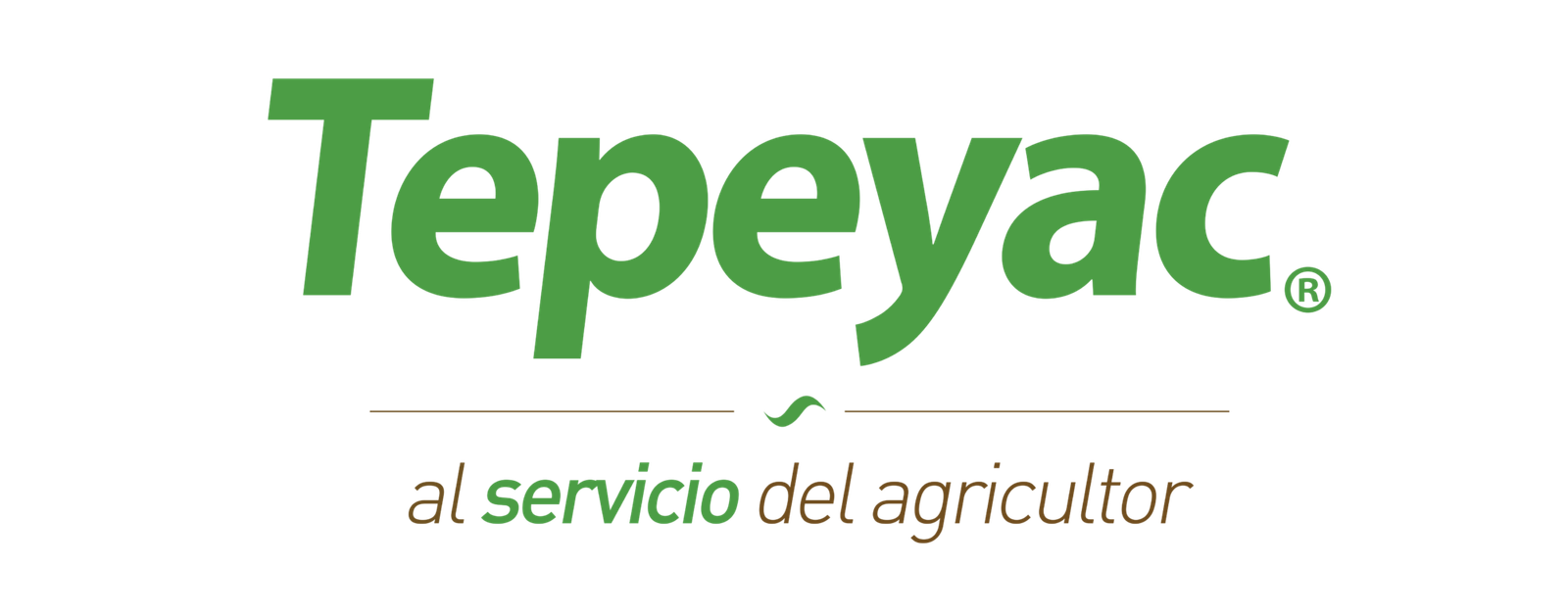 Logo Tepeyac
